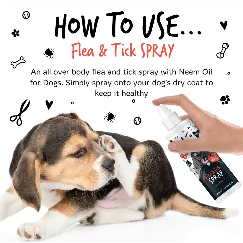 flea-and-tick-spray-how-to-use