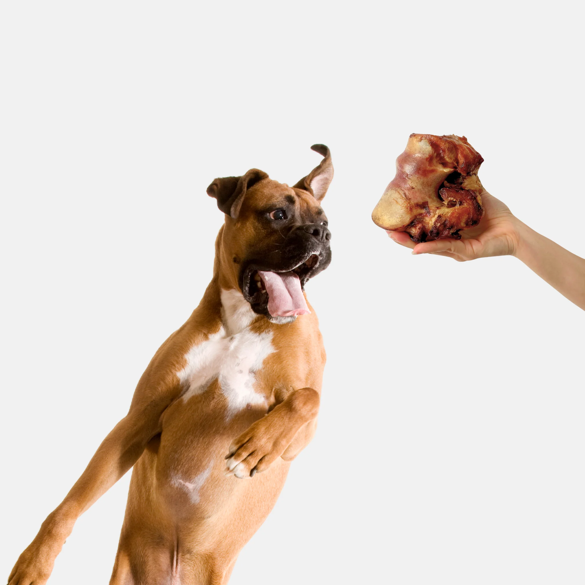 marrowbone_1_1024x1024@2x