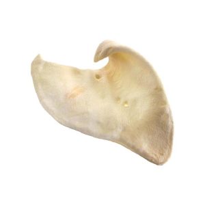 Sow Ears Puffed