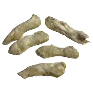 Rabbit Feet