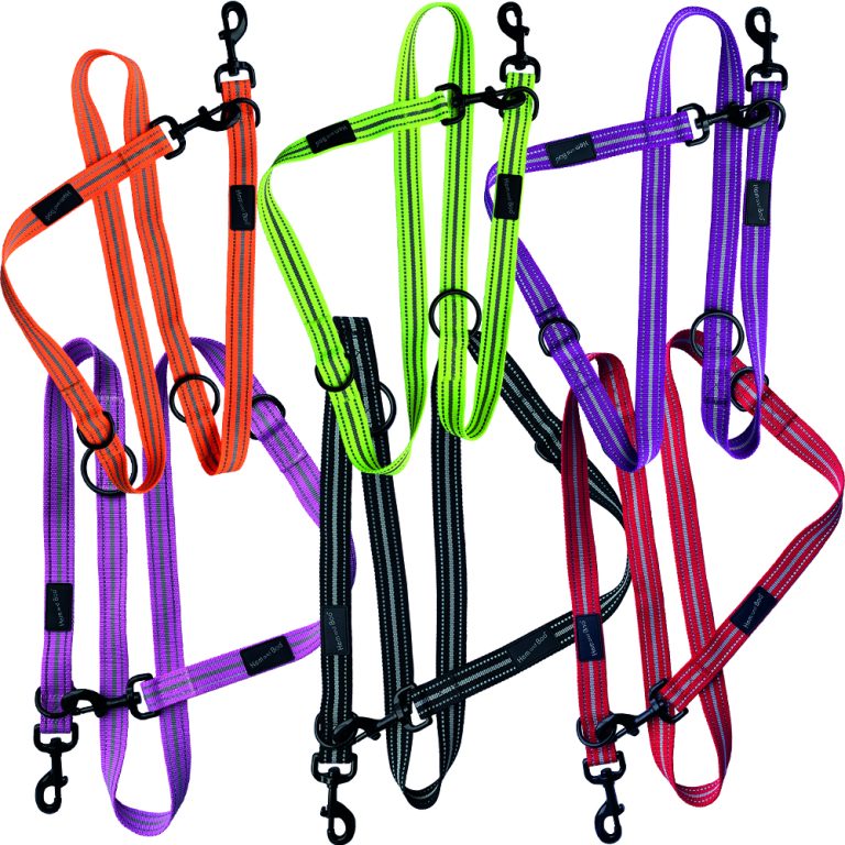 0000939_sports-training-lead-reflective