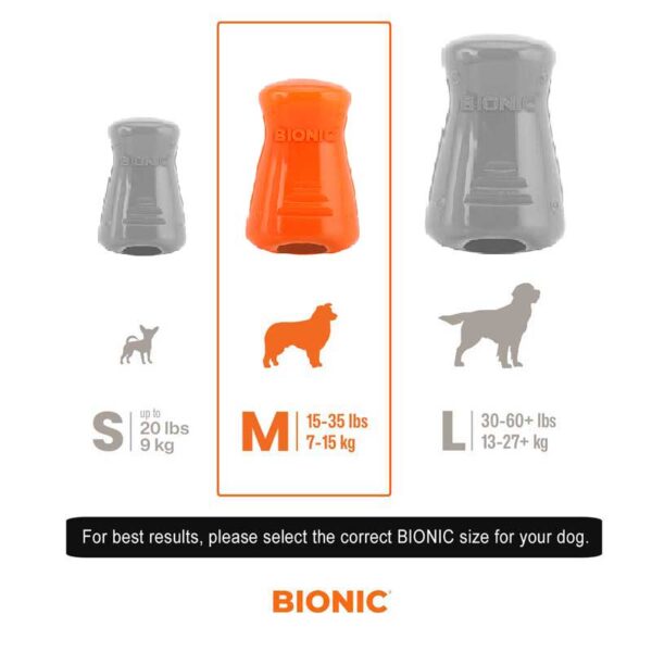 bionic-treat-shaker-size-chart-medium-600x600