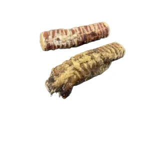 Collagen Filled Trachea