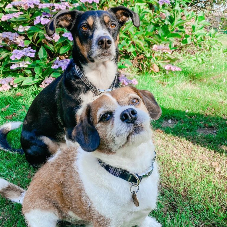 116CF2F8-504F-4F48-B3DD-D12D65449F04