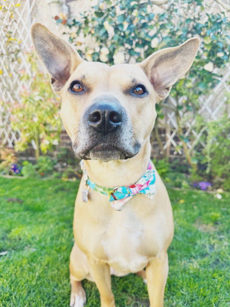 image_0d0cfa46-ec26-49bd-8091-d0979115ef58