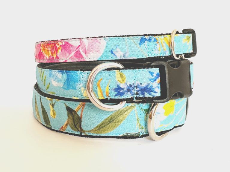 image_35aabdfd-28a3-4834-8112-facacdc3bc52