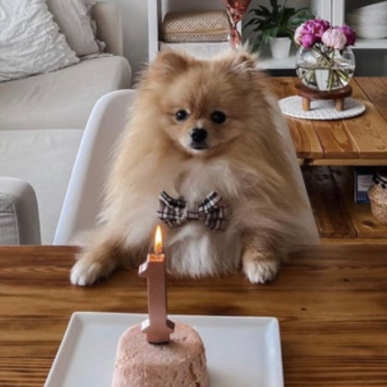 image_4f7a23de-9c7c-4068-8687-857c1dd4f840