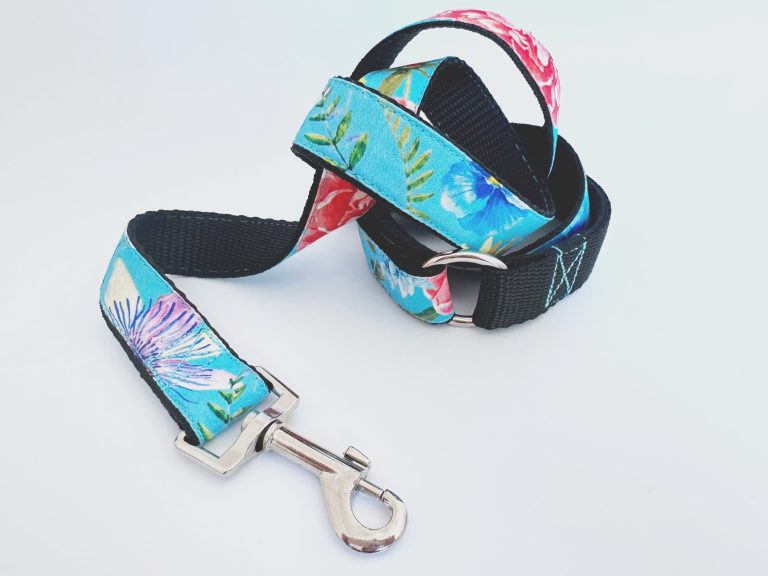 image_6a7795ca-38e4-4324-b86d-ecf59b2ed665