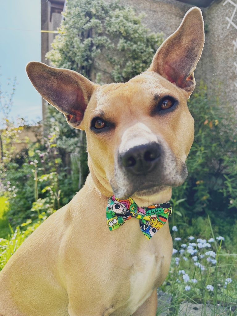 image_7dbc3443-a4b8-4bc7-bcd7-46bb00cddef2