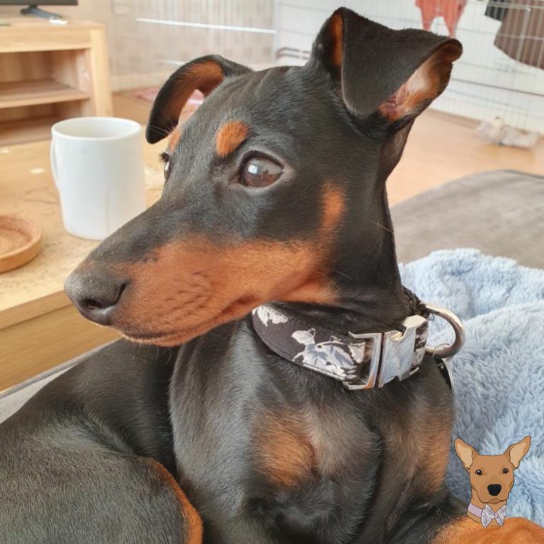 image_9b60b72d-a144-4803-a908-31d157d7cef9