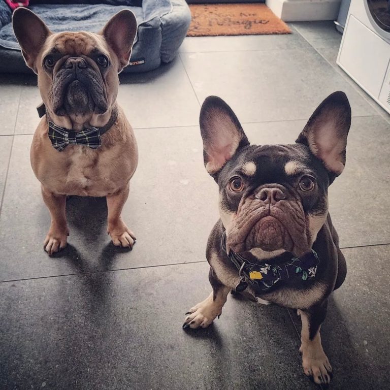 image_aa2e576b-7d2b-4a0a-a610-70c7da711405