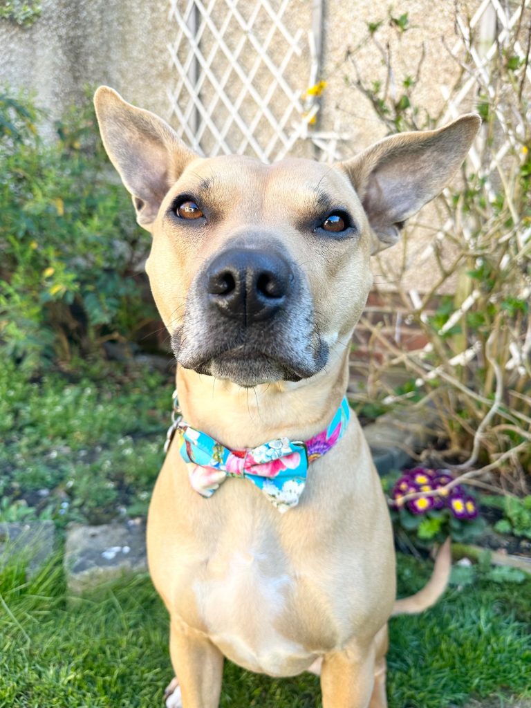 image_b81bf17e-311a-47ab-9543-ca594f959515