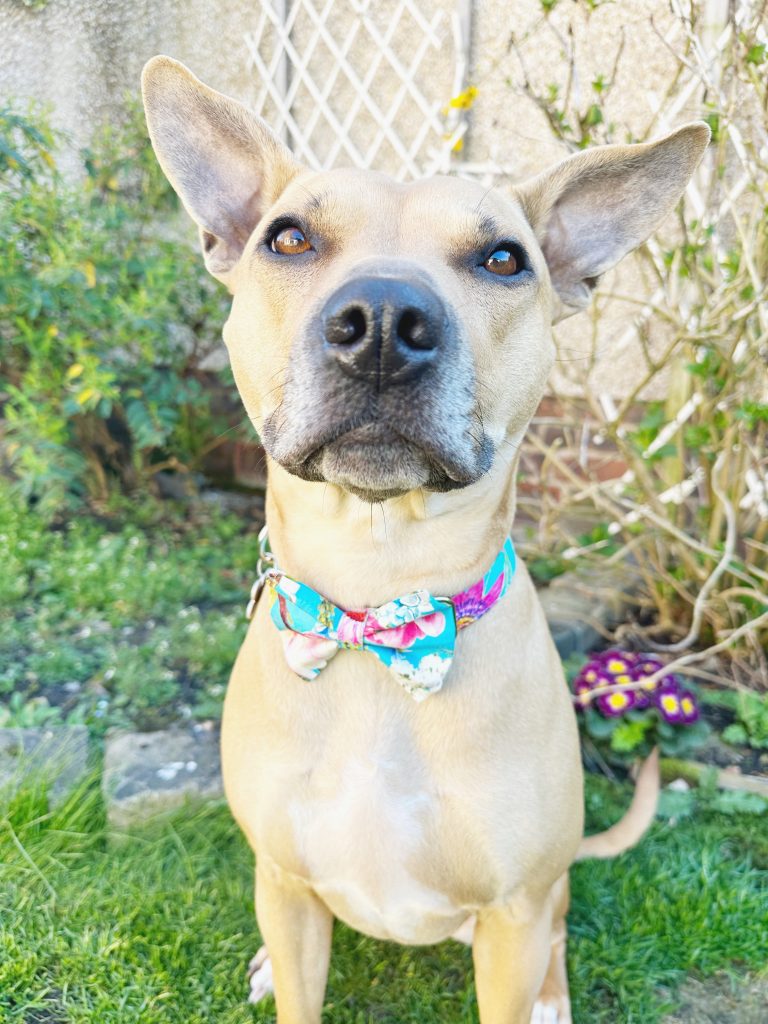 image_cf4ba63c-ab73-45b8-b989-ab7ec078be6c