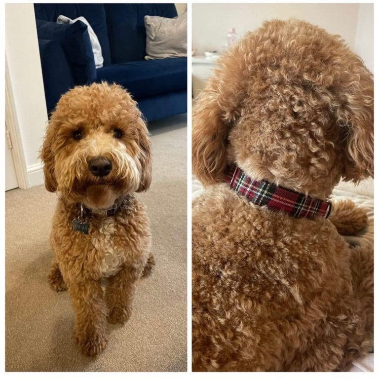 image_d6008fe4-38c8-4bd9-8316-ef6bf42dd2ee