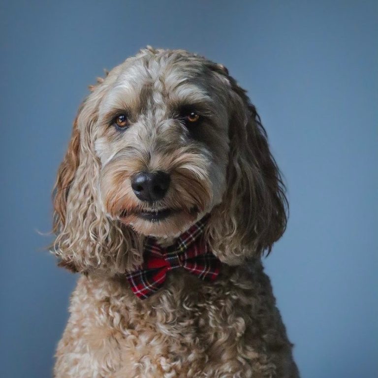 image_eb441c25-1982-4955-9335-40818357785b